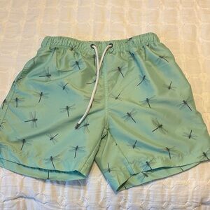 Franks Men's Green Swim Shorts with Dragonfly Print